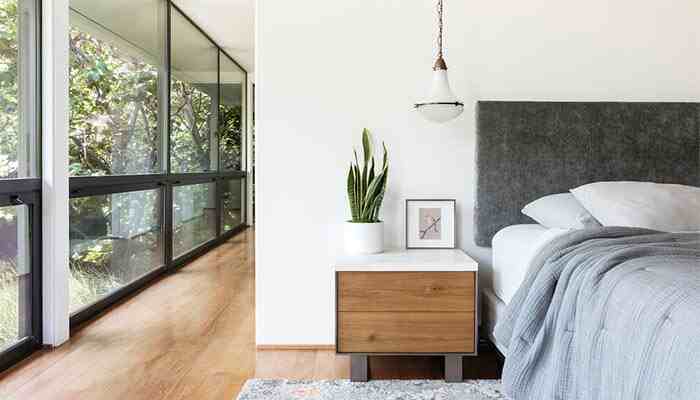 10 Amazing Benefits of Snake Plant at Homes!